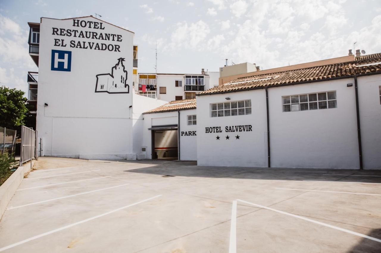 Hotel Salvevir Ejea De Los Caballeros Exteriör bild